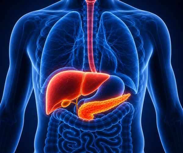Pancreatic Cancer Surgery